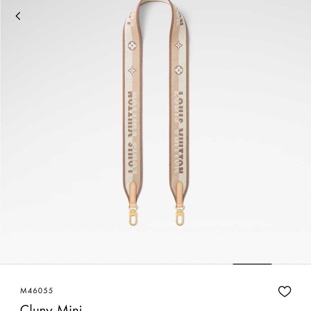 Louis Vuitton Bandouliere Strap